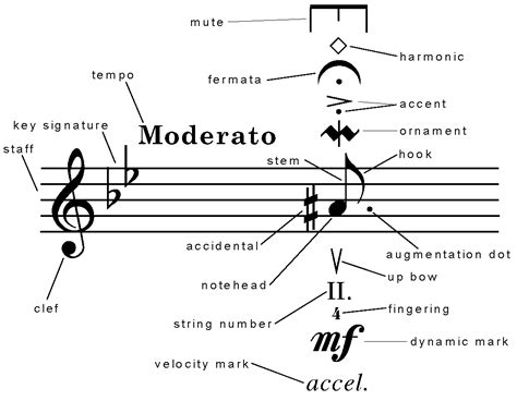 What Does Con Moto Mean in Music and How Does It Influence the Interpretation of a Piece?